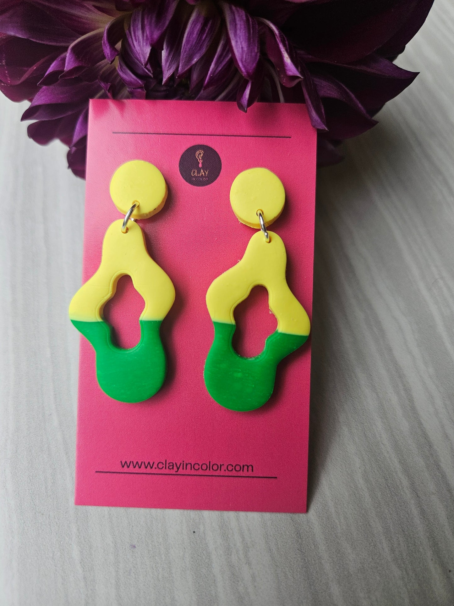 Funky Two Color Dangles